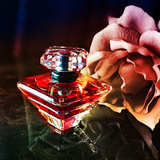 🧡 Samtige Verführung 🧡 Lieben Dank für Eure schönen Kommentare 🧡