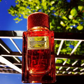 Velvet Amber Sun - Dolce & Gabbana