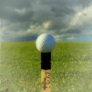 ein Golfclub irgendwo in Florida