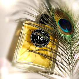 14 Iris Oriental / Iris Taizo - Pierre Guillaume