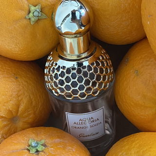 Aqua Allegoria Orange Soleia - Guerlain