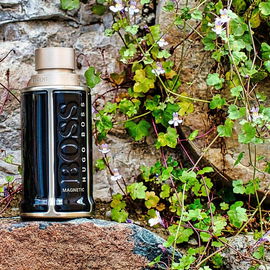 The Scent Magnetic for Him - Hugo Boss