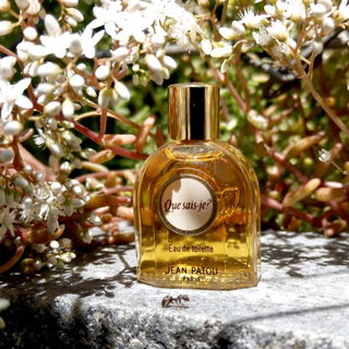 Lalique pour Homme Lion (Eau de Parfum) - Lalique
