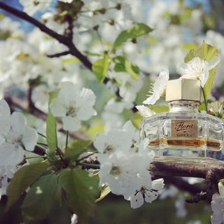 Flora by Gucci (Eau de Toilette) - Gucci