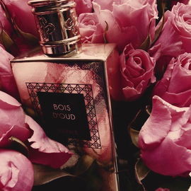 Bois d'Oud - Perris Monte Carlo