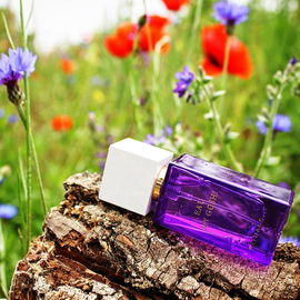 The Ritual of Holi - Eau My Gosh! - Rituals