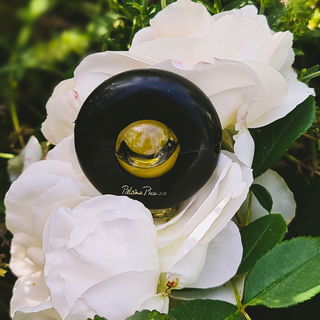 Paloma Picasso / Mon Parfum (Eau de Parfum) von Paloma Picasso