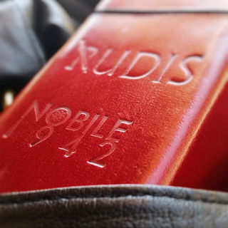 Rudi macht ratlos ;-))