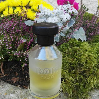 Vetiver Ambrato von Bois 1920
