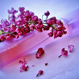 Pur Désir de Lilas - Yves Rocher