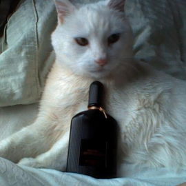 Black Orchid Voile de Fleur - Tom Ford