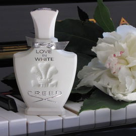 Le Rivage des Syrtes - Parfums MDCI