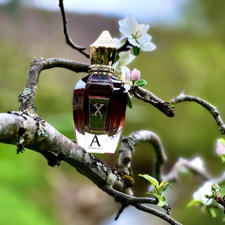 Alexandria Orientale - Xerjoff