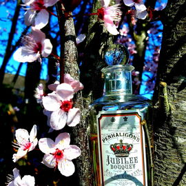 Jubilee Bouquet - Penhaligon's