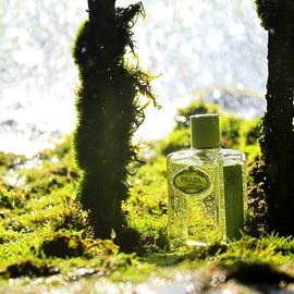 Infusion d'Iris (Eau de Parfum) (2015) - Prada