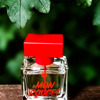 Mon Rouge! von Yves Rocher