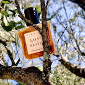 Nach dem Foto hatte er tatsächlich noch einen Freefall vom Ast in Richtung Boden, aber dank meiner erlernter 