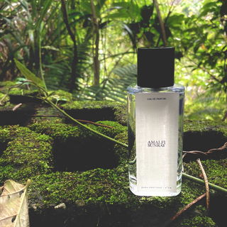 Amalfi Sunray (Eau de Parfum) / N°04 Amalfi Sunray - Zara
