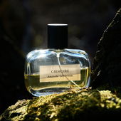 dunkelbunter Patchlikör (by NuiWhakakore)