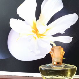 Ambre - Charrier / Parfums de Charières