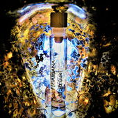 Axone und Arterien (von Floyd)