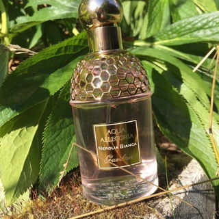 Aqua Allegoria Nerolia Bianca - Guerlain