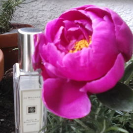 Panthère de Cartier (Parfum de Toilette) - Cartier