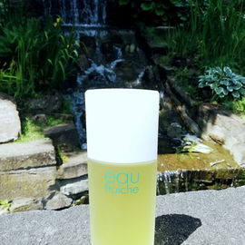 Eau Fraiche / Body Basics - Eau Fraiche - Elizabeth Arden