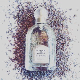 Mouchoir de Monsieur - Guerlain