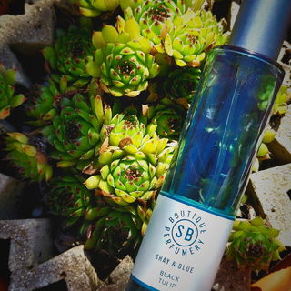 Black Tulip von Shay & Blue