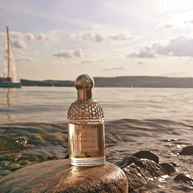 Ein Tag auf dem Wasser geht zu Ende und das Schiff steuert den Hafen an ....