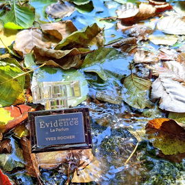 Ein leichter Rosenchypre, ein wenig Moos und etwas Holz 🍁 Der Herbst ist nicht mehr weit 🍂 Danke für Eure schönen Besuche 🧡