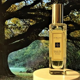 English Oak & Hazelnut - Jo Malone