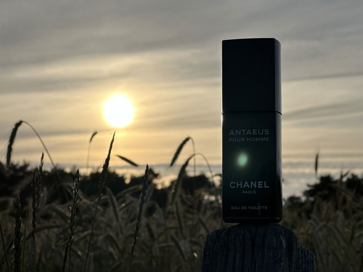 男性に人気！ Toilette De Eau Homme Pour Antaeus Chanel 100ml