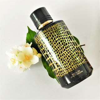 Wild Python - Mancera