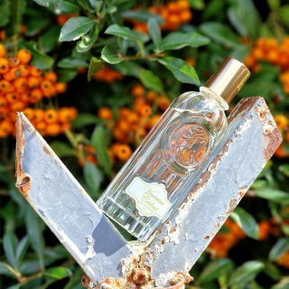 Verveine Cédrat von Jeanne en Provence