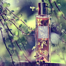 Oranges Bigarades - Lancôme