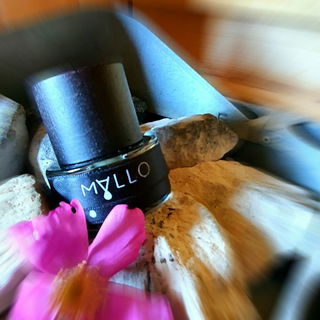 Ätherischer Banja•Dunst in flammenloser Sepia•Stille # Eisenerz getränkte Fleisch•Flor•Leder pulsieren im Rhythmus peitschender Birkenzweige.Vielen Dank ❤ ALLEN