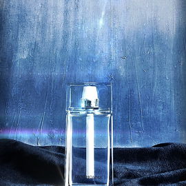 Dior Homme Cologne (2013) - Dior