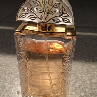 Lalique (Eau de Parfum) von Lalique