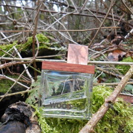 Thema: Wald - passend zum Duft! Kompaktkamera Nikon Coolpix