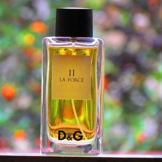 11 La Force - Dolce & Gabbana