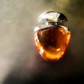 Omnia Indian Garnet - Bvlgari