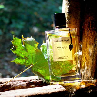 Bois d'Iris - Van Cleef & Arpels