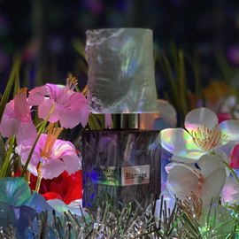Blamage (Extrait de Parfum) - Nasomatto