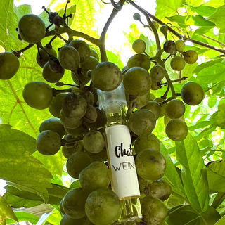 Weinstrasse (Eau de Toilette) - Chatillon Lux