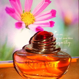 Kalenderspruch hinter dem Duft: 