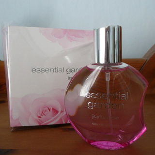 Joyful Rose - Essential Garden