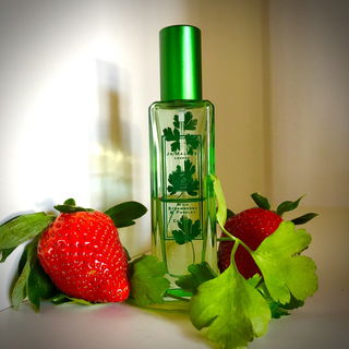 Wild Strawberry & Parsley - Jo Malone