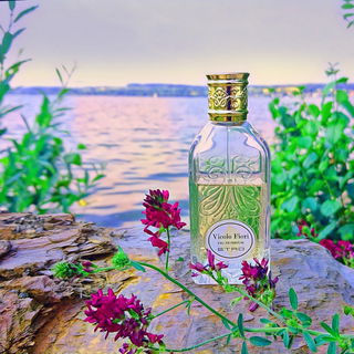 Ein letzter Sommergruß ☀️🌺🌿 Herzlichen Dank für Eure schönen Kommentare 💚